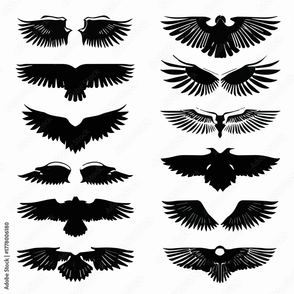 Fototapeta premium set of wings