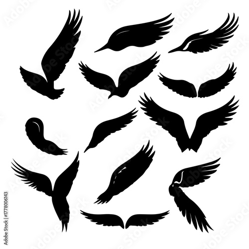 set of black silhouettes of wing birds
