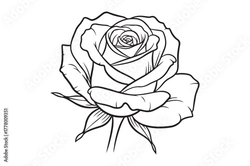 Elegant black and white line drawing of a rose
