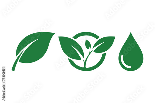 Green leaves and water drop symbolizing nature and purity