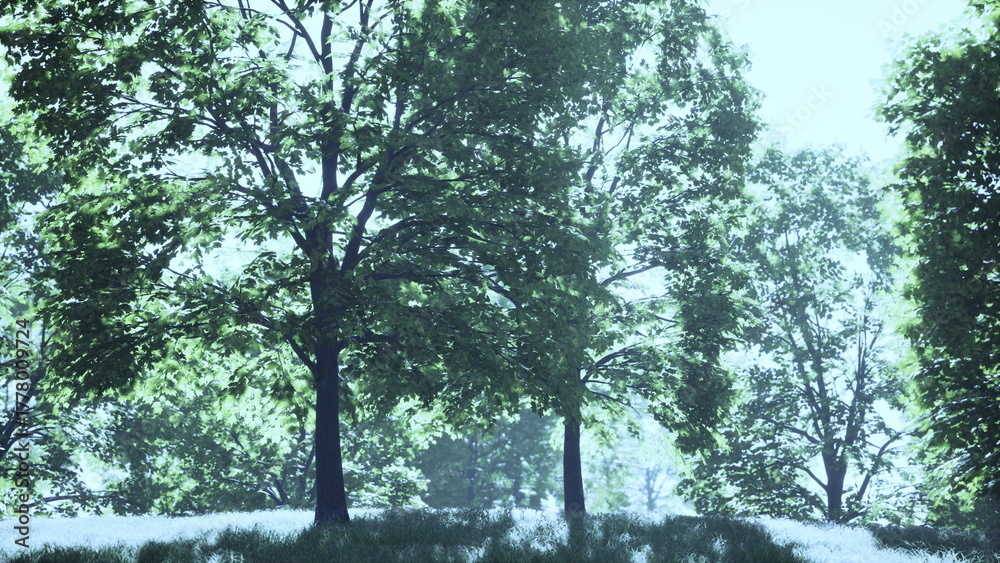 Fototapeta premium Lush green trees stand tall in a peaceful landscape, their leaves shimmering in the sunlight. Soft grass blankets the ground, inviting tranquility and calmness in the scene.