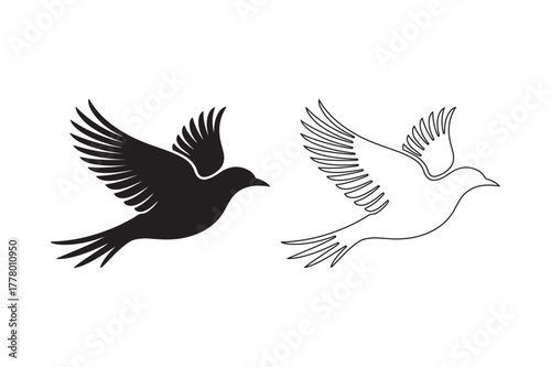 Silhouette and outline of a bird in flight