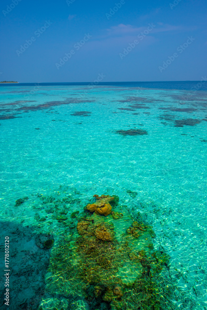 Fototapeta premium Tranquil closeup calm sea water waves with palm trees. Beautiful Panorama, Tropical island beach landscape exotic shore coast. Summer vacation, holiday amazing nature. Relax paradise, Maldives.