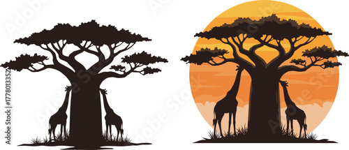 African giraffes standing under baobab tree silhouette with sunset background, wildlife nature illustration, savanna landscape vector art design