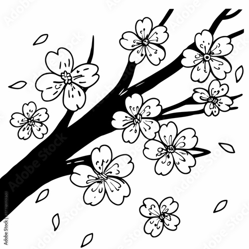 Pen Drawing of a Cherry Blossom Branch – Hand-Drawn Sakura Illustration, Floral Line Art, Botanical Sketch, Minimalist Ink Artwork on White Background”