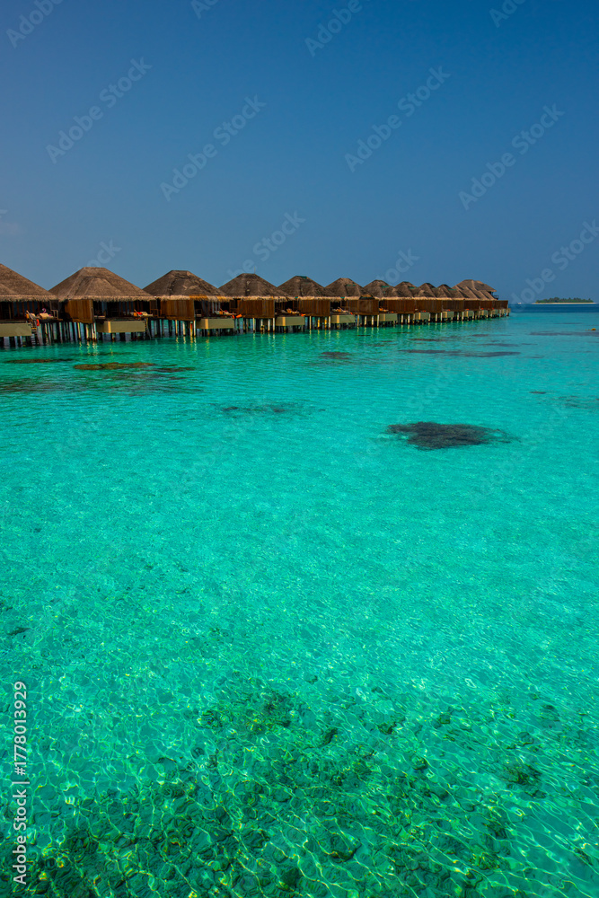 Fototapeta premium Tranquil closeup calm sea water waves with palm trees. Bungalows background. Tropical island beach landscape exotic shore coast. Summer vacation, holiday amazing nature. Relax paradise, Maldives.