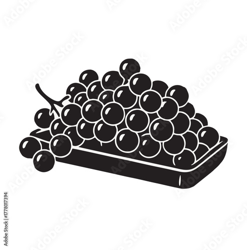 grape fruit vector on white background