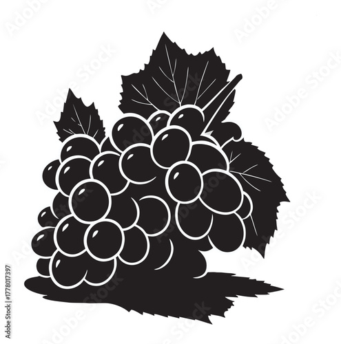 grape fruit vector on white background