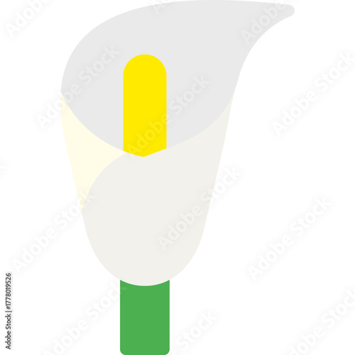calla lily icon illustration design with flat