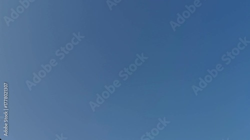 Clear blue sky background with no clouds. A natural, clean and panoramic view of sky on a crystal bright, sunny day — the perfect blue-sky holiday backdrop
Enjoyed a picnic under the clear blue sky.