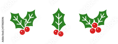 Set of Holly Sprigs with Red Berries on a White Background
