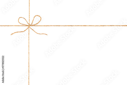 Golden Rope String with Knotted Bow Isolated on White and Png Transparent Background