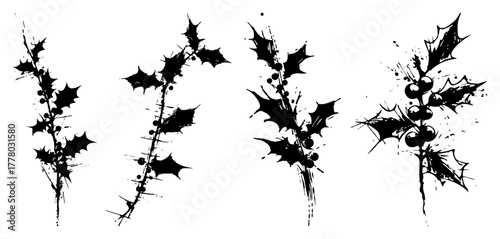 Grunge Holly Branch Vector Set Abstract Christmas Ink Sketch with Berries