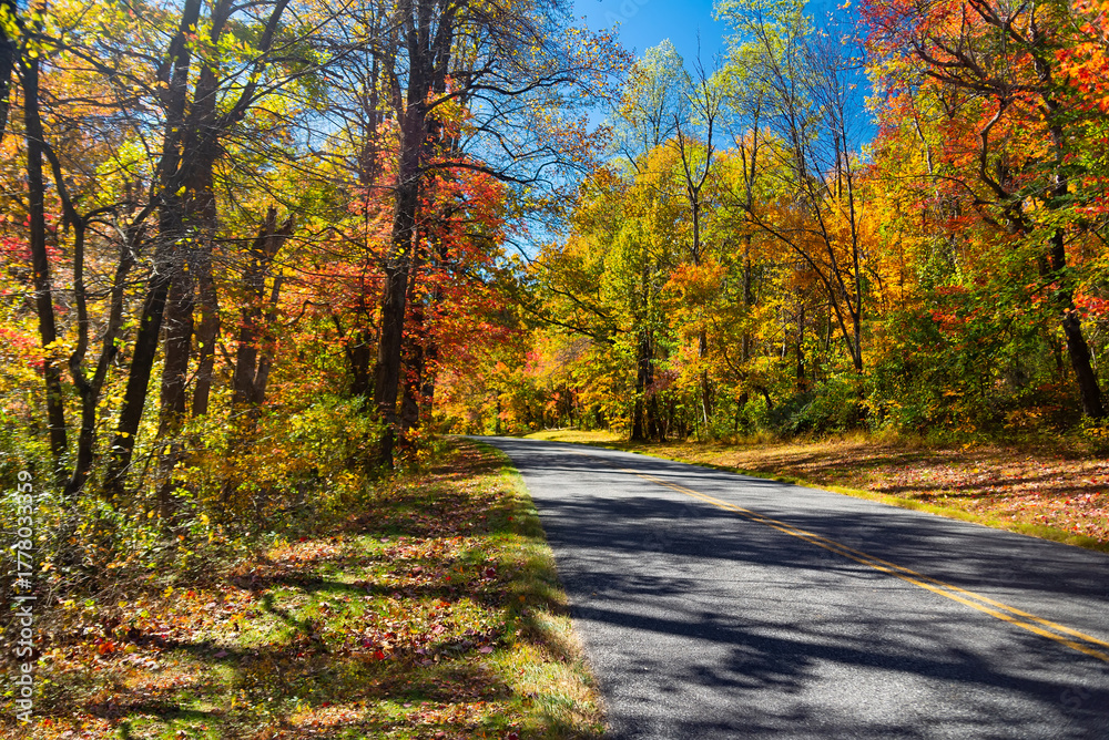 Obraz premium Fall foliage drive on Blue Ridge Parkway with golden trees and shadows