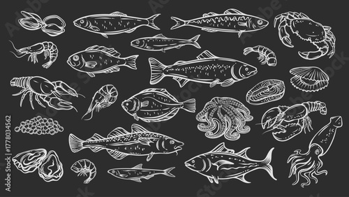 Seafood outline drawings in chalk style set. Marine animals and fish, hand drawn with white lines on dark background. Great for menu, food design, seafood packaging and fish market visuals. Vector