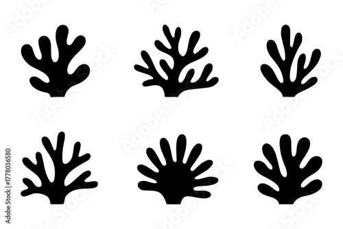 Photography silhouette of unique black coral ocean illustrations