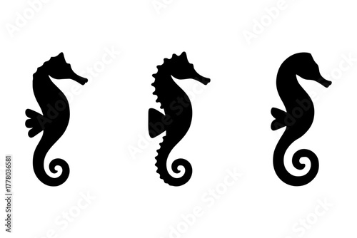 silhouette of marine life sea ocean seahorses  