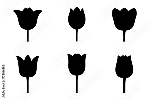silhouette of  tulip flowers floral nature bloom