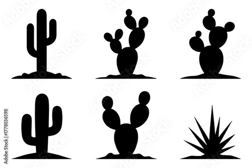 silhouette of  different cactus plant species