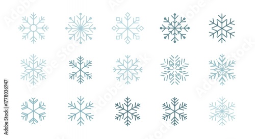 Snowflake Collection in Varied Shapes and Sizes
