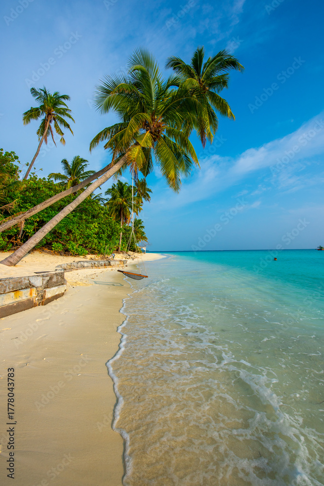 Fototapeta premium Tranquil closeup calm sea water waves with palm trees. Swing on the tree. Tropical island beach landscape exotic shore coast. Summer vacation, holiday amazing nature. Relax paradise, Maldives.