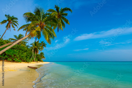 Fototapeta Naklejka Na Ścianę i Meble -  Tranquil closeup calm sea water waves with palm trees. Swing on the tree. Tropical island beach landscape exotic shore coast. Summer vacation, holiday amazing nature. Relax paradise, Maldives.