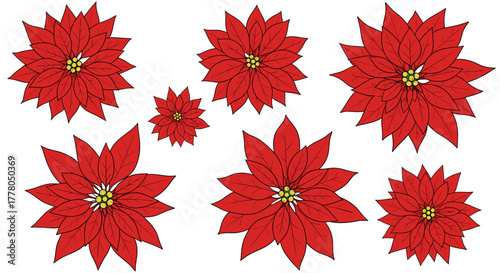 Festive poinsettia flower collection for holiday cheer, vibrant scarlet petals creating elegant Christmas spirit