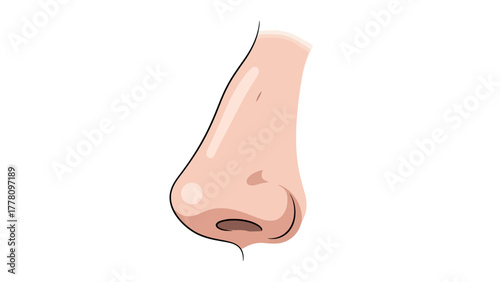 A cartoon illustration of a human nose