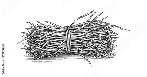 Detailed sketch of a hay bale bundle with vintage engraving style