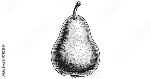 Vintage style hand-drawn pear artwork in black and white