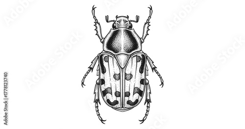 Detailed monochrome stipple beetle art with intricate patterns