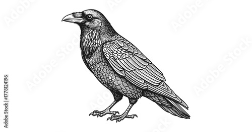 Intricate raven art with detailed feather patterns in vintage black and white style