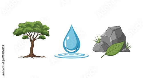 Illustration showing a tree water droplet and rocks with leaf and grass blades