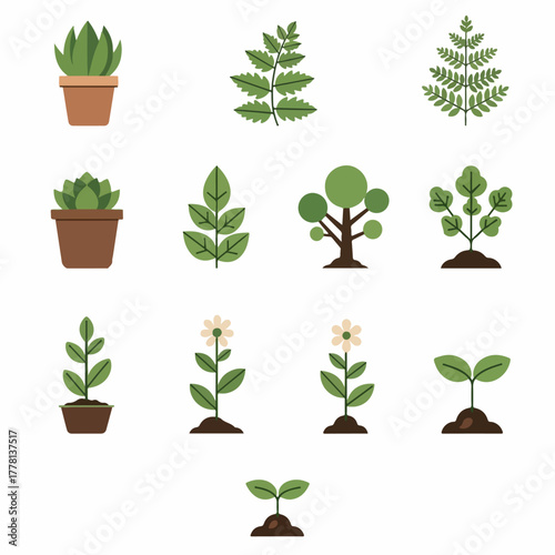 Collection of various green potted plants and seedlings, representing growth and nature's diversity