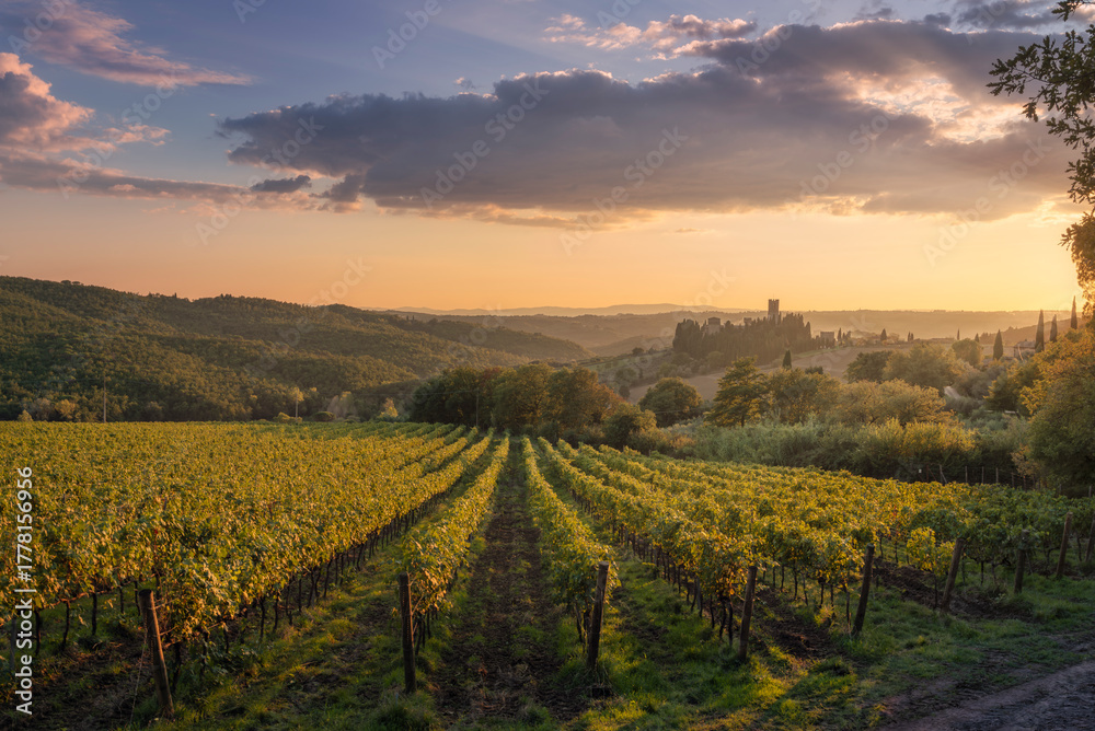 Fototapeta premium Badia a Passignano Abbey and Chianti Vineyards at Sunset, Tuscany