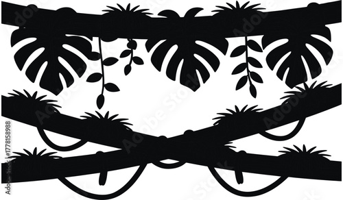 Dark silhouette of a lush tropical jungle canopy with hanging vines and large monstera leaves