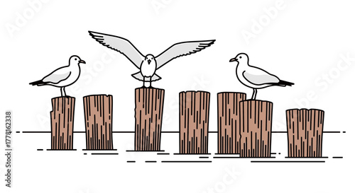Three seagulls perched on wooden posts along a shoreline, one with wings outstretched, in a simple line drawing.