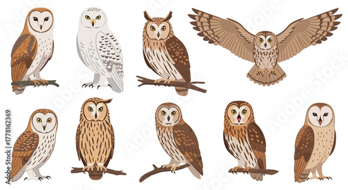 A collection of ten vector illustrations of different owl species, some perched on branches and one with wings spread.