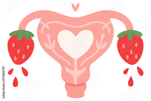 Flat vector illustration of female uterus with strawberries and heart isolated on white background. Synbolic concept of woman's reproductive health, menustruation and body positivity.