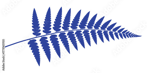 Vibrant blue fern frond with intricate natural patterns on a clean white background