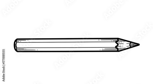 Single black and white line art pencil on white backdrop