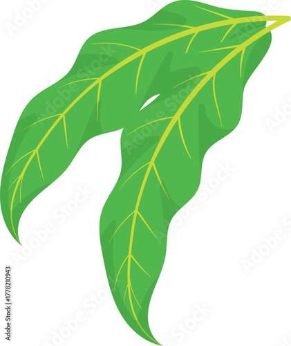 Vibrant Green Leaves Vector Illustration on White Background - Fresh Botanical Design Element