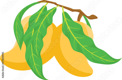 Cartoon illustration of two ripe yellow mangoes with green leaves on a branch.
