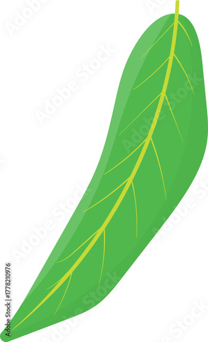 Single Green Leaf Vector Illustration with Prominent Yellow Veins on White Background, Botanical Element