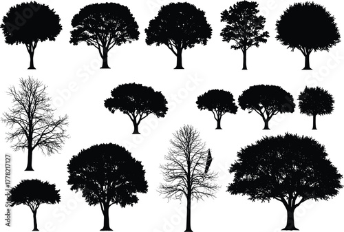 Tree silhouette vector collection, black isolated foliage shapes, bare and leafy tree icons, nature design elements for forest, garden, landscape, botany