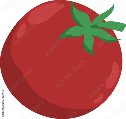 Fresh Red Tomato Vector Illustration with Green Stem and Calyx, Top View