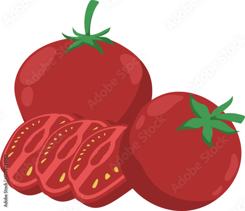Fresh Red Tomatoes and Slices Vector Illustration on White Background