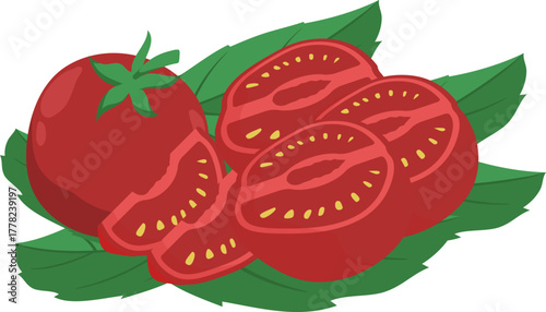 Fresh Red Tomatoes and Slices with Green Leaves Illustration