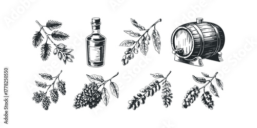 Set of hand-drawn botanical elements and barrel