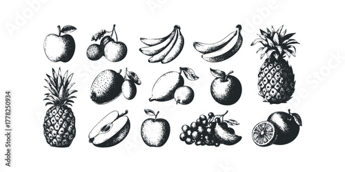 Collection of Hand Drawn Fruits and Produce